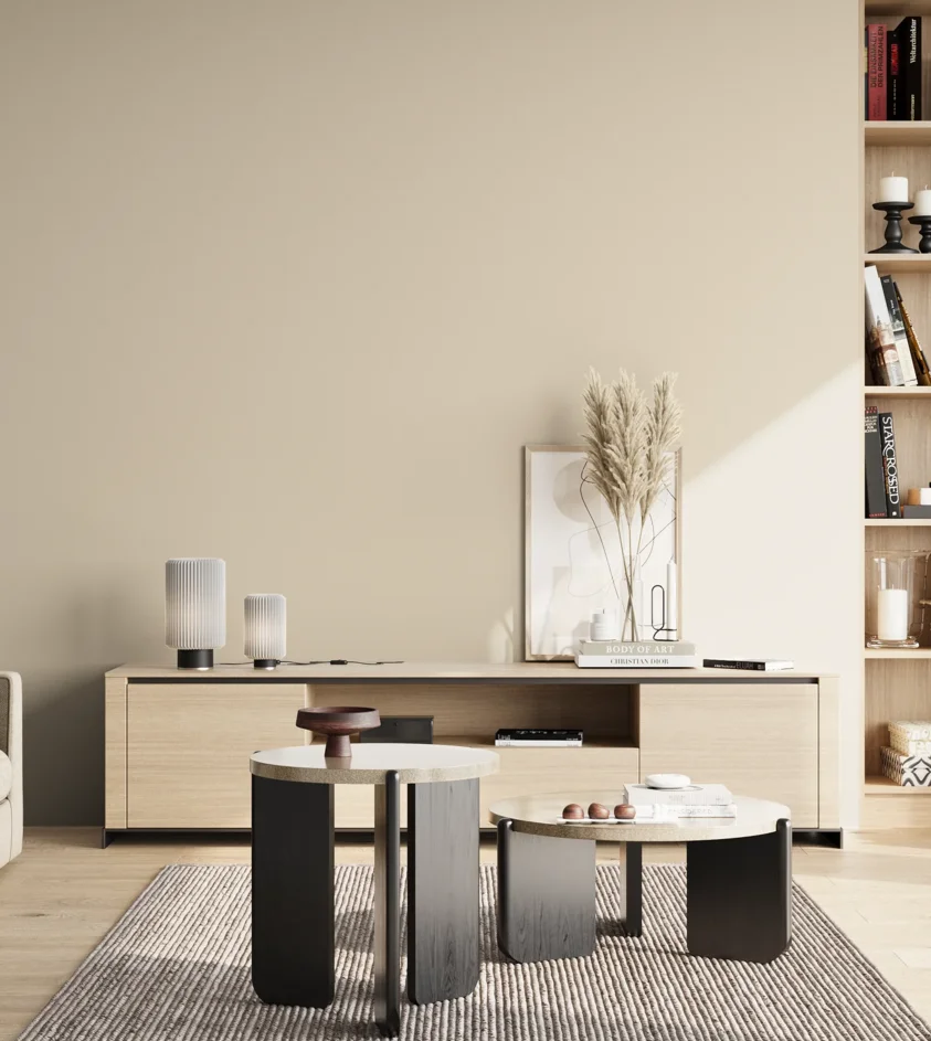 P10_SNIEZKA_salon_02_poludnie_GREY_S1005-Y40R