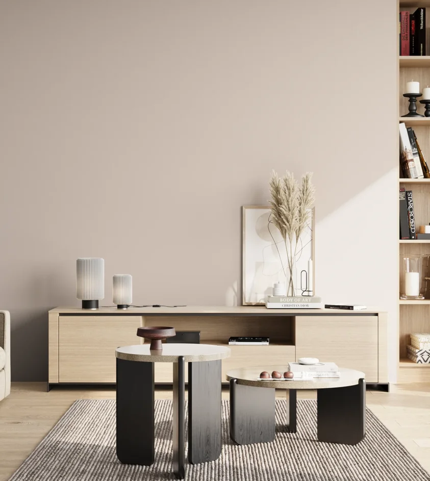 P10_SNIEZKA_salon_02_poludnie_GREY_S1005-Y90R