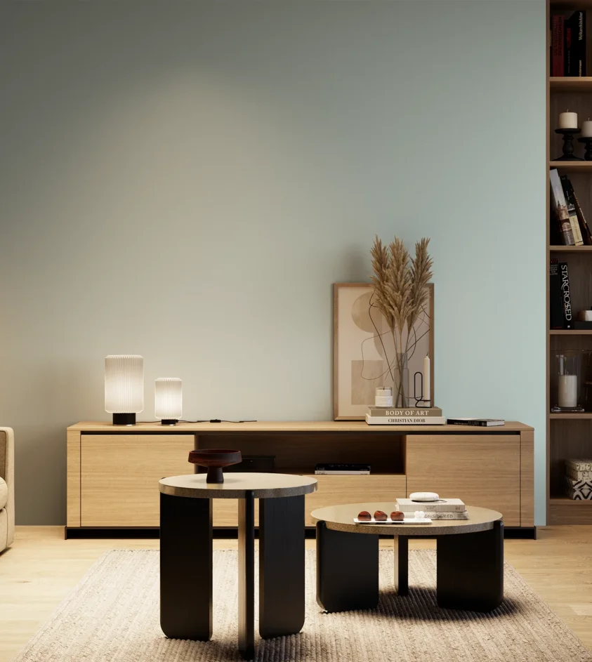 P10_SNIEZKA_salon_04_cieple_GREY_S1010-B30G