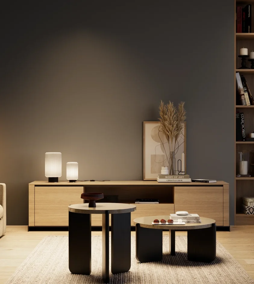 P10_SNIEZKA_salon_04_cieple_GREY_C60