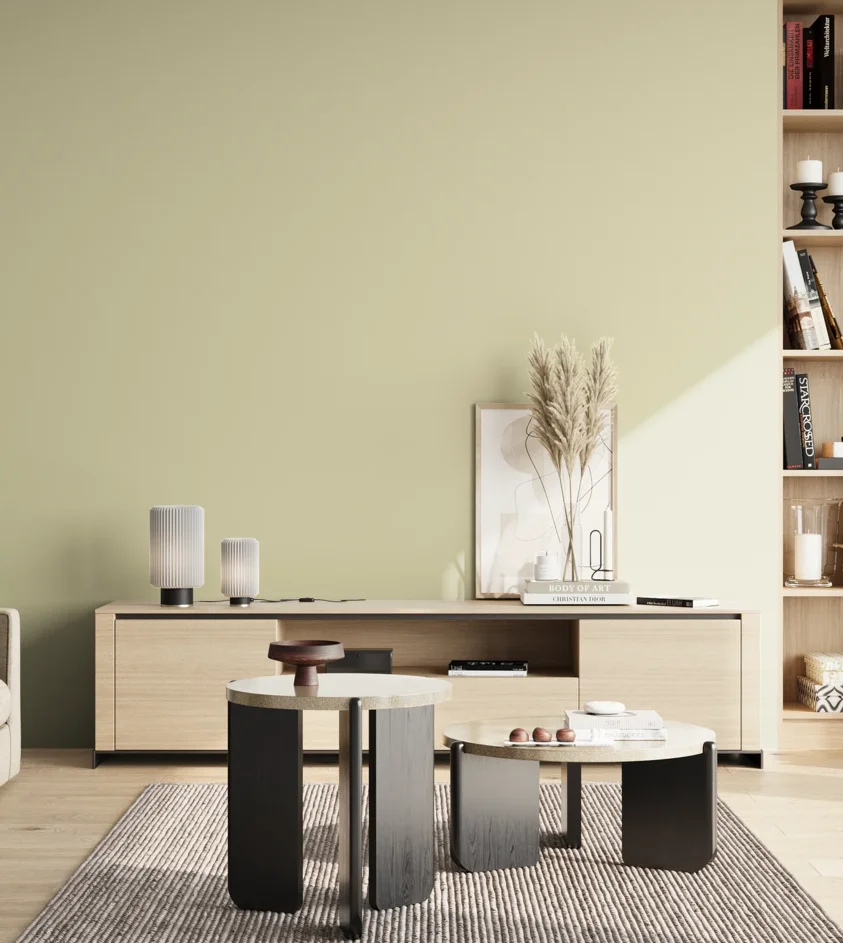 P10_SNIEZKA_salon_02_poludnie_GREY_S1010-G80Y