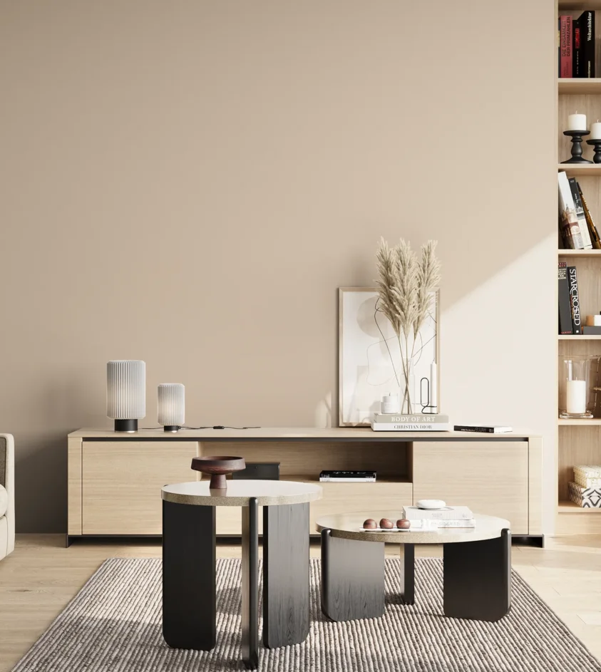 P10_SNIEZKA_salon_02_poludnie_GREY_C63