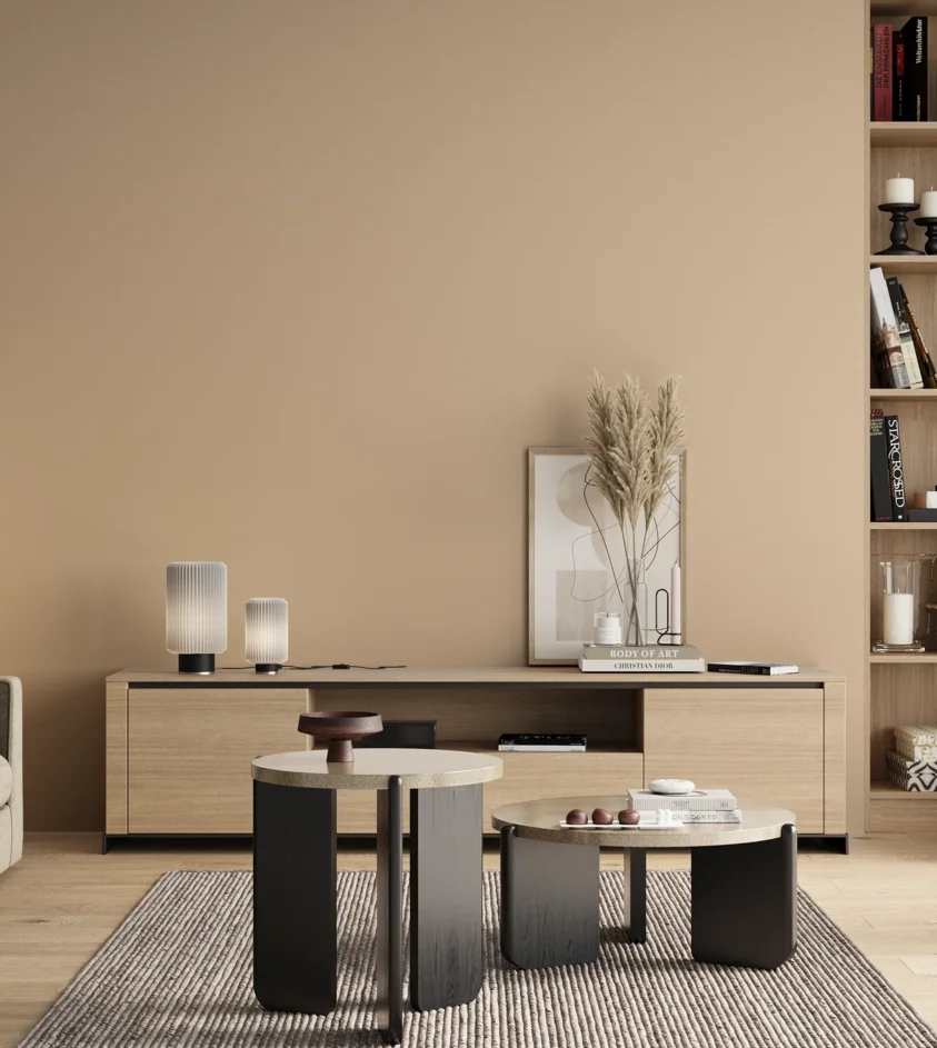 P10_SNIEZKA_salon_00_neutral_GREY_S1010-Y40R