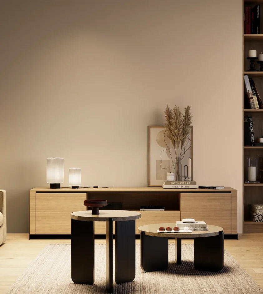 P10_SNIEZKA_salon_04_cieple_GREY_S1010-Y60R