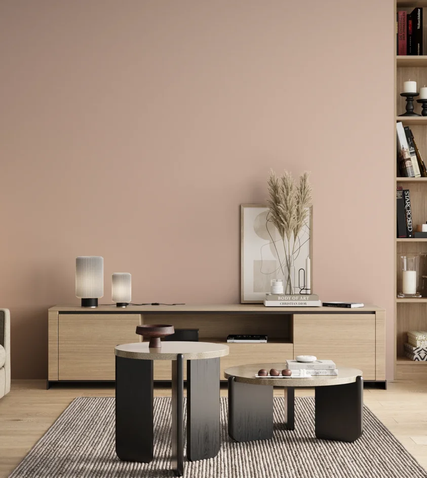 P10_SNIEZKA_salon_00_neutral_GREY_C64