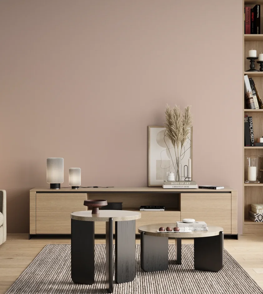 P10_SNIEZKA_salon_00_neutral_GREY_S1010-Y90R