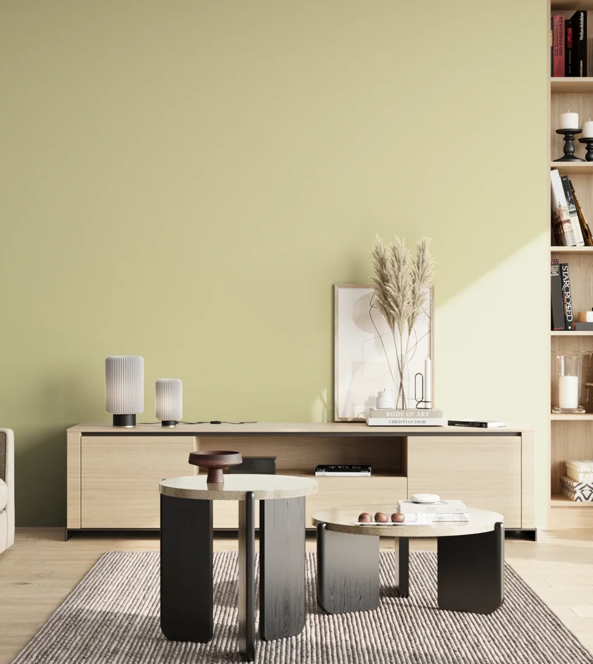 P10_SNIEZKA_salon_02_poludnie_GREY_S1015-G80Y