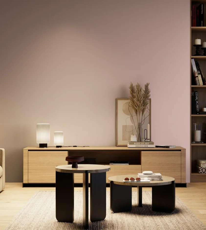 P10_SNIEZKA_salon_04_cieple_GREY_S1015-R10B