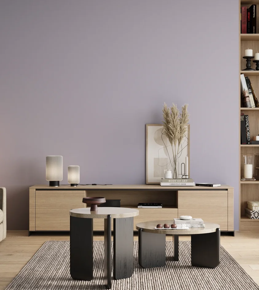 P10_SNIEZKA_salon_00_neutral_GREY_S1015-R60B