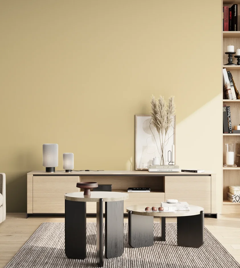 P10_SNIEZKA_salon_02_poludnie_GREY_S1015-Y10R