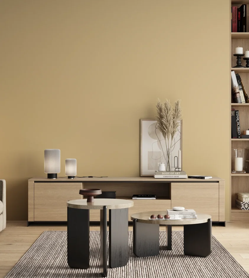P10_SNIEZKA_salon_00_neutral_GREY_S1015-Y20R