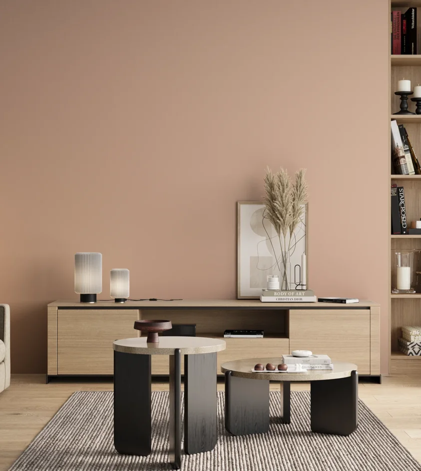 P10_SNIEZKA_salon_00_neutral_GREY_S1015-Y70R