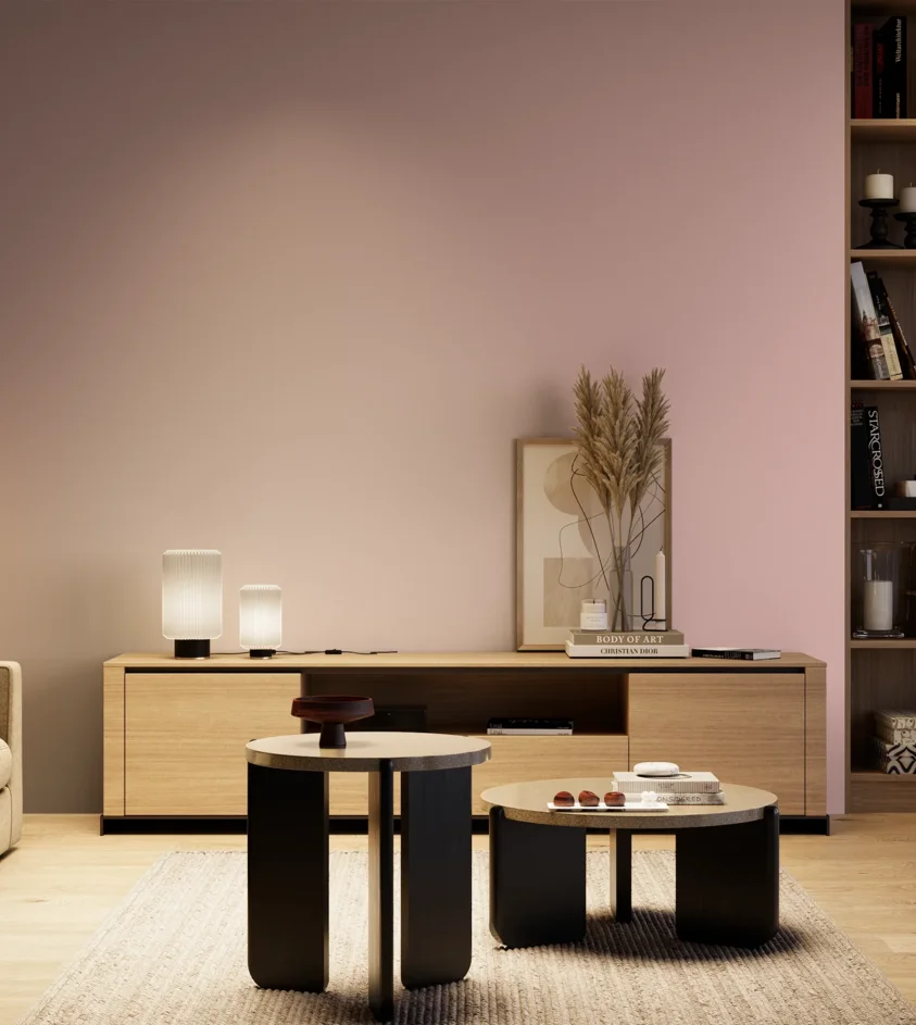 P10_SNIEZKA_salon_04_cieple_GREY_S1020-R10B