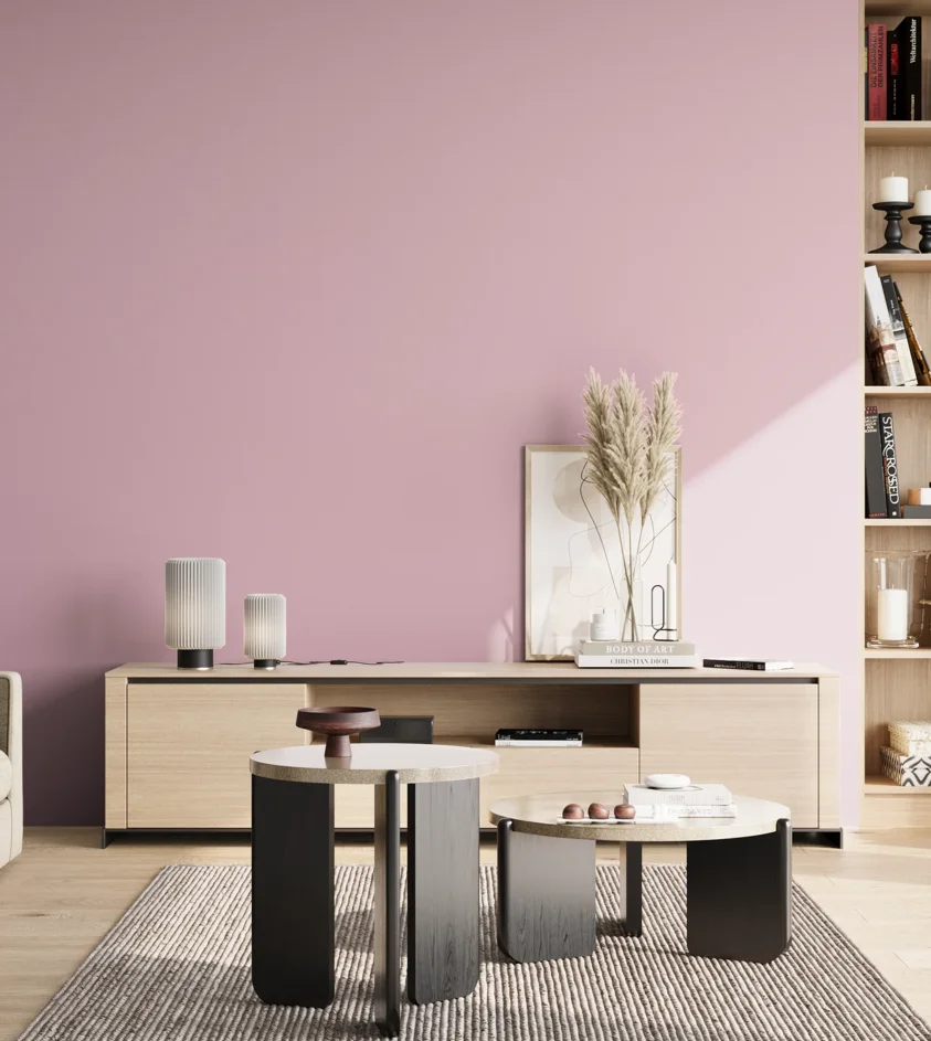 P10_SNIEZKA_salon_02_poludnie_GREY_S1020-R30B