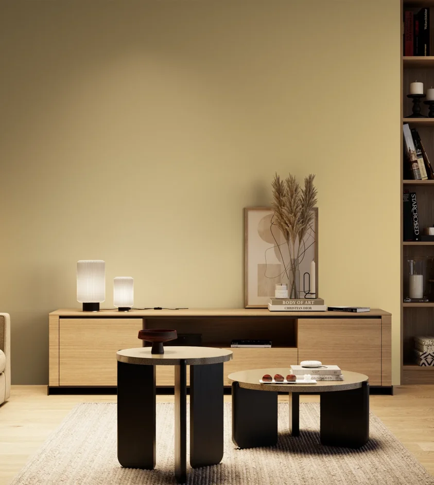 P10_SNIEZKA_salon_04_cieple_GREY_S1020-Y10R
