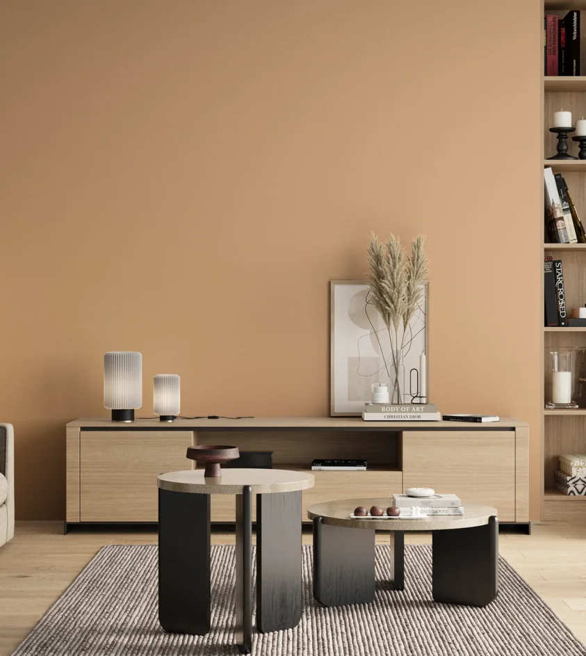 P10_SNIEZKA_salon_00_neutral_GREY_S1020-Y40R