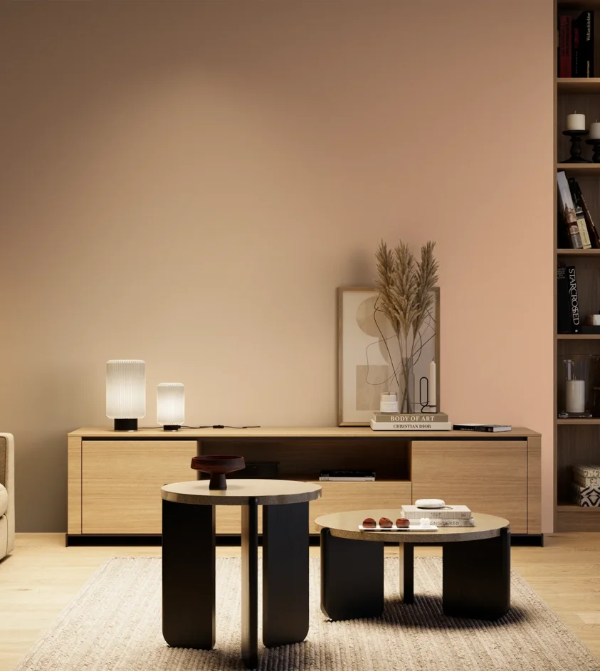 P10_SNIEZKA_salon_04_cieple_GREY_S1020-Y60R
