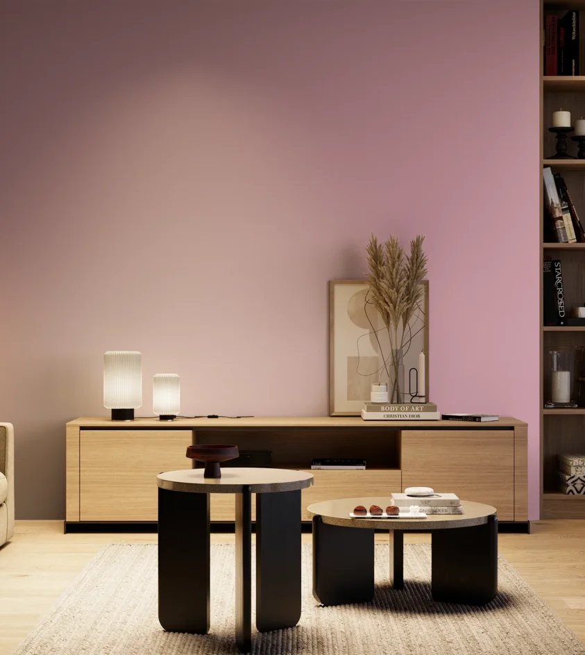 P10_SNIEZKA_salon_04_cieple_GREY_S1030-R30B