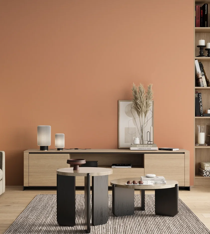 P10_SNIEZKA_salon_00_neutral_GREY_S1030-Y60R