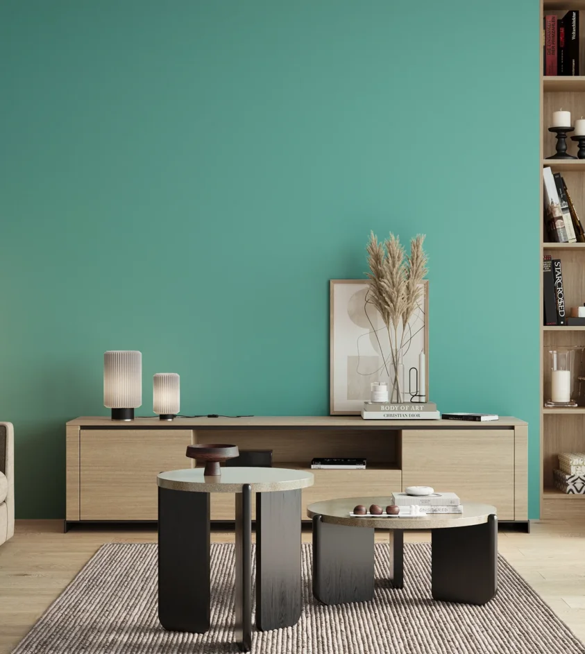 P10_SNIEZKA_salon_00_neutral_GREY_S1040-B60G