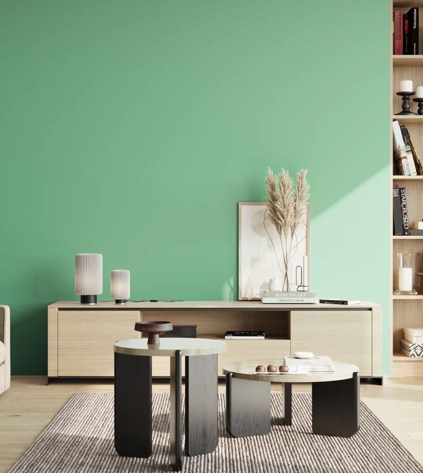 P10_SNIEZKA_salon_02_poludnie_GREY_S1040-G