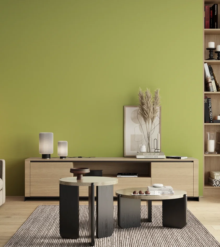 P10_SNIEZKA_salon_00_neutral_GREY_S1040-G60Y