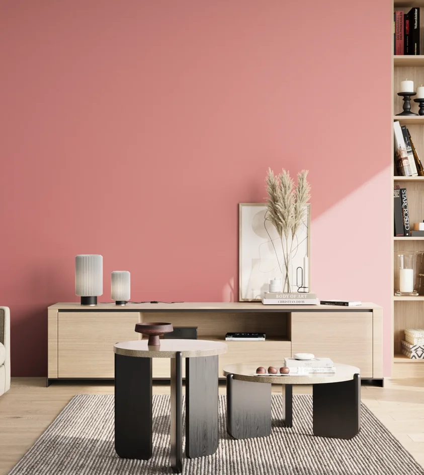 P10_SNIEZKA_salon_02_poludnie_GREY_S1040-R