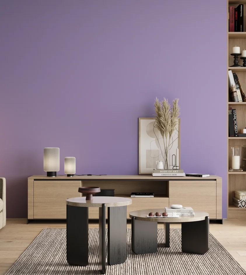 P10_SNIEZKA_salon_00_neutral_GREY_S1040-R60B