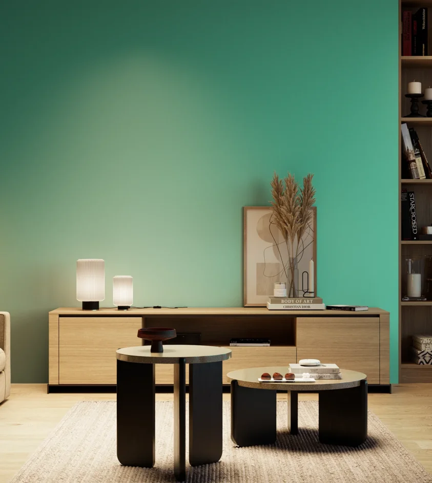 P10_SNIEZKA_salon_04_cieple_GREY_S1050-B80G