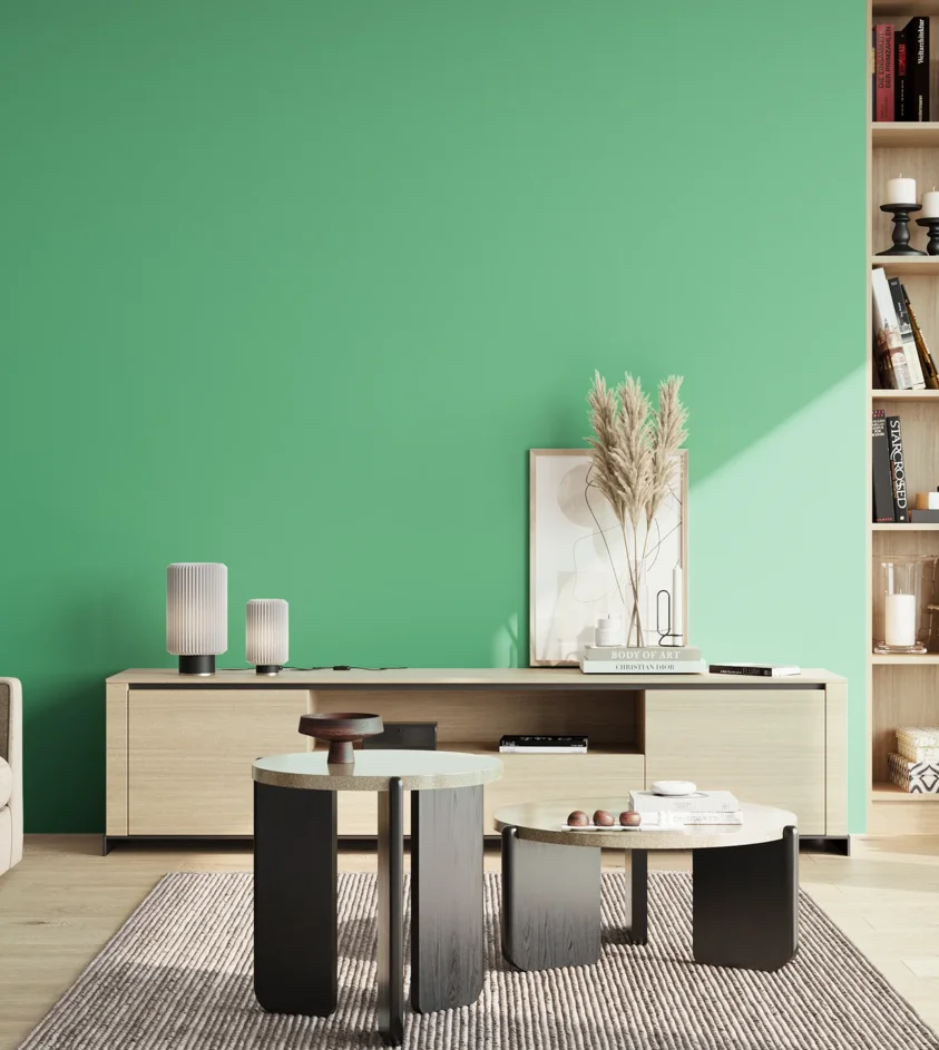 P10_SNIEZKA_salon_02_poludnie_GREY_S1050-G