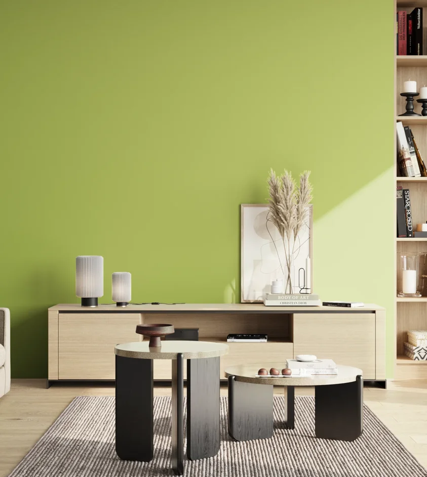 P10_SNIEZKA_salon_02_poludnie_GREY_S1050-G50Y