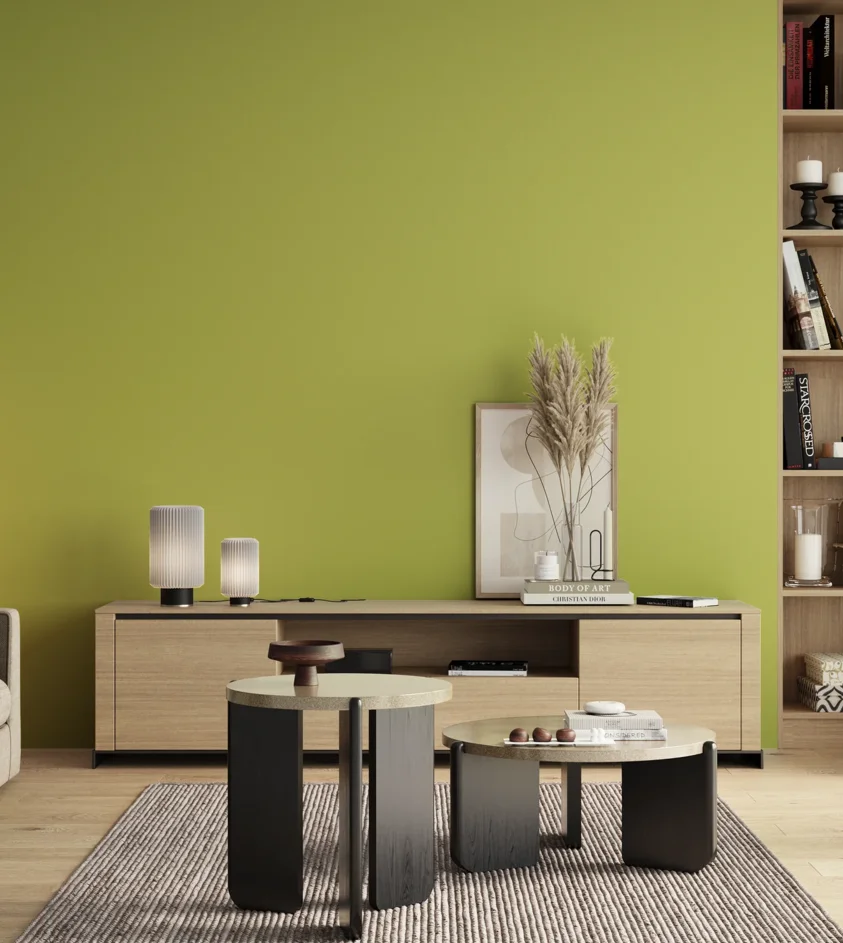 P10_SNIEZKA_salon_00_neutral_GREY_S1050-G60Y