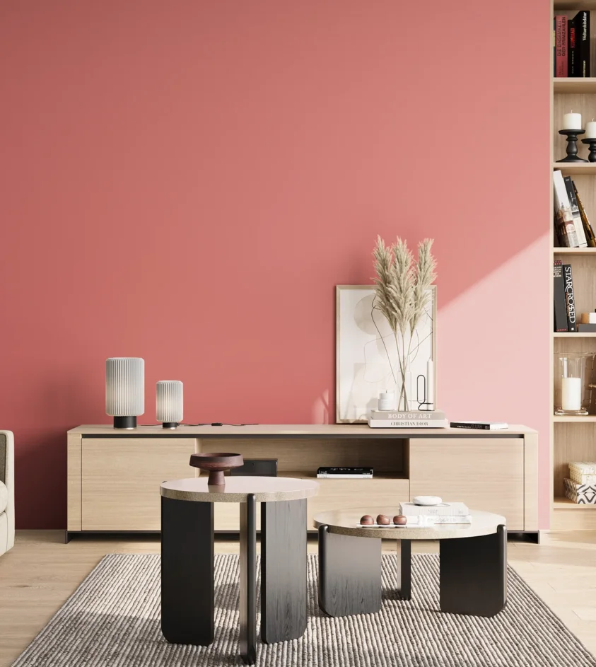P10_SNIEZKA_salon_02_poludnie_GREY_S1050-R