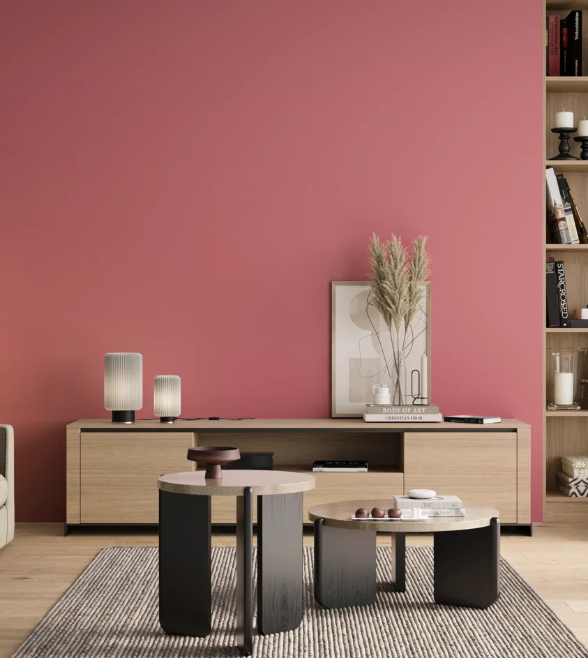 P10_SNIEZKA_salon_00_neutral_GREY_S1050-R10B