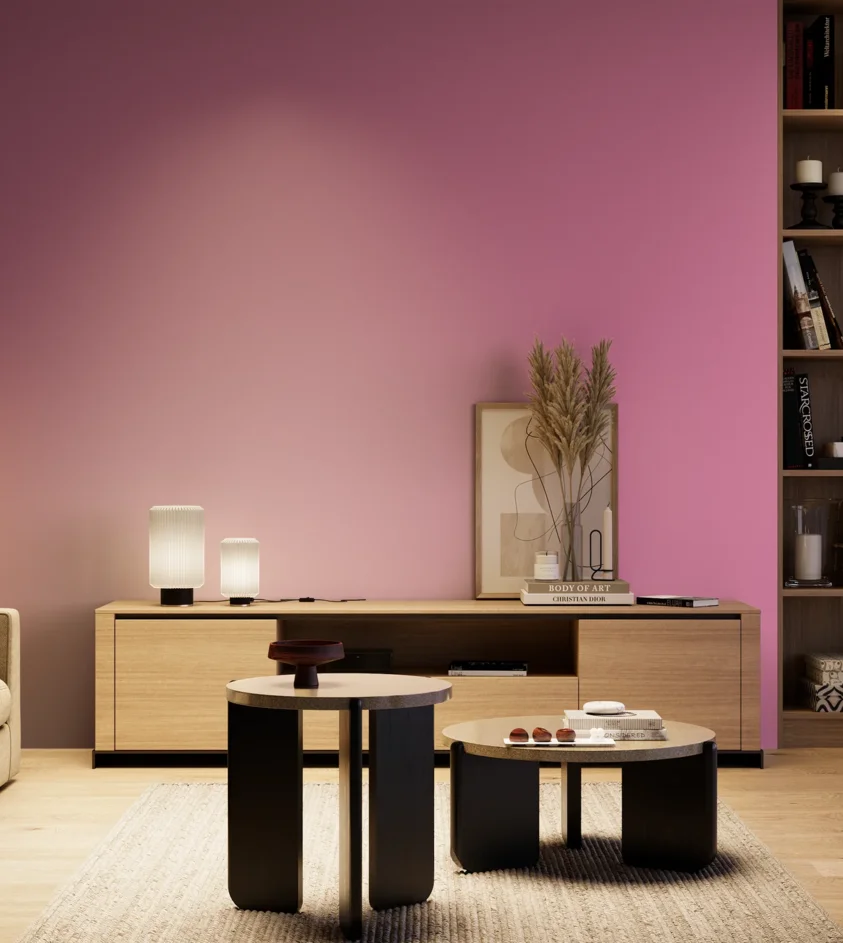 P10_SNIEZKA_salon_04_cieple_GREY_S1050-R30B
