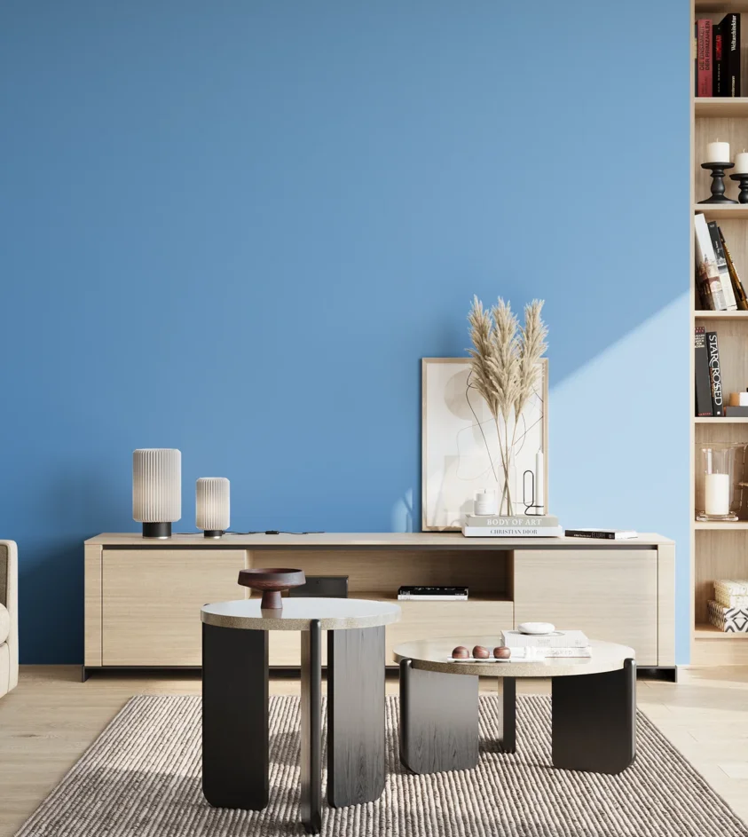 P10_SNIEZKA_salon_02_poludnie_GREY_S1050-R90B