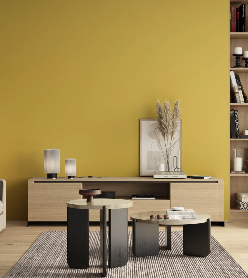 P10_SNIEZKA_salon_00_neutral_GREY_S1050-Y