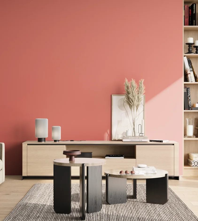 P10_SNIEZKA_salon_02_poludnie_GREY_S1050-Y90R