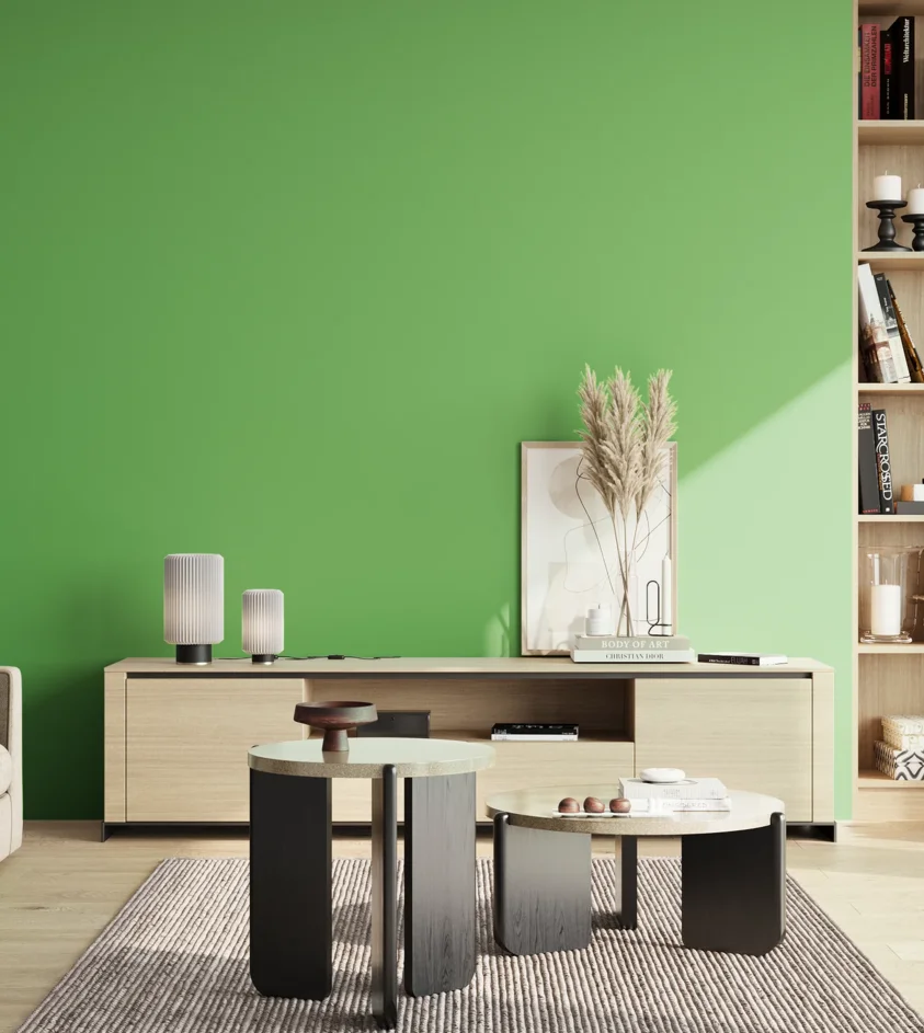 P10_SNIEZKA_salon_02_poludnie_GREY_S1060-G20Y