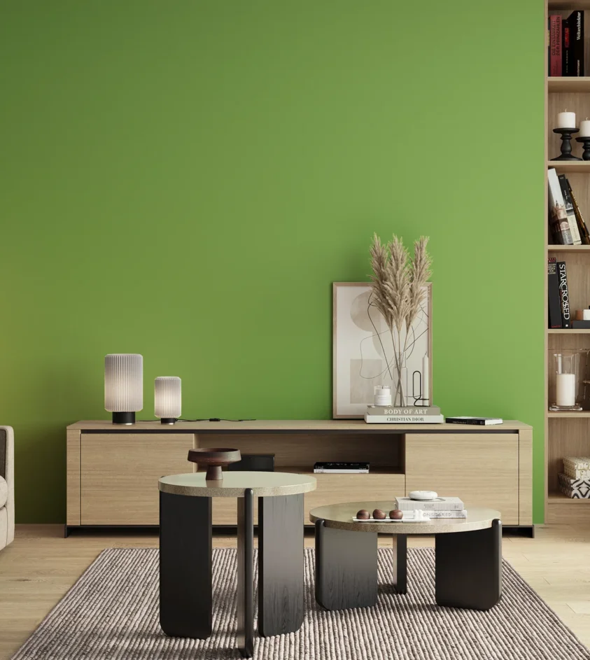 P10_SNIEZKA_salon_00_neutral_GREY_S1060-G30Y