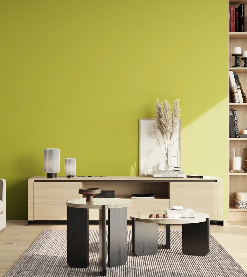 P10_SNIEZKA_salon_02_poludnie_GREY_S1060-G70Y