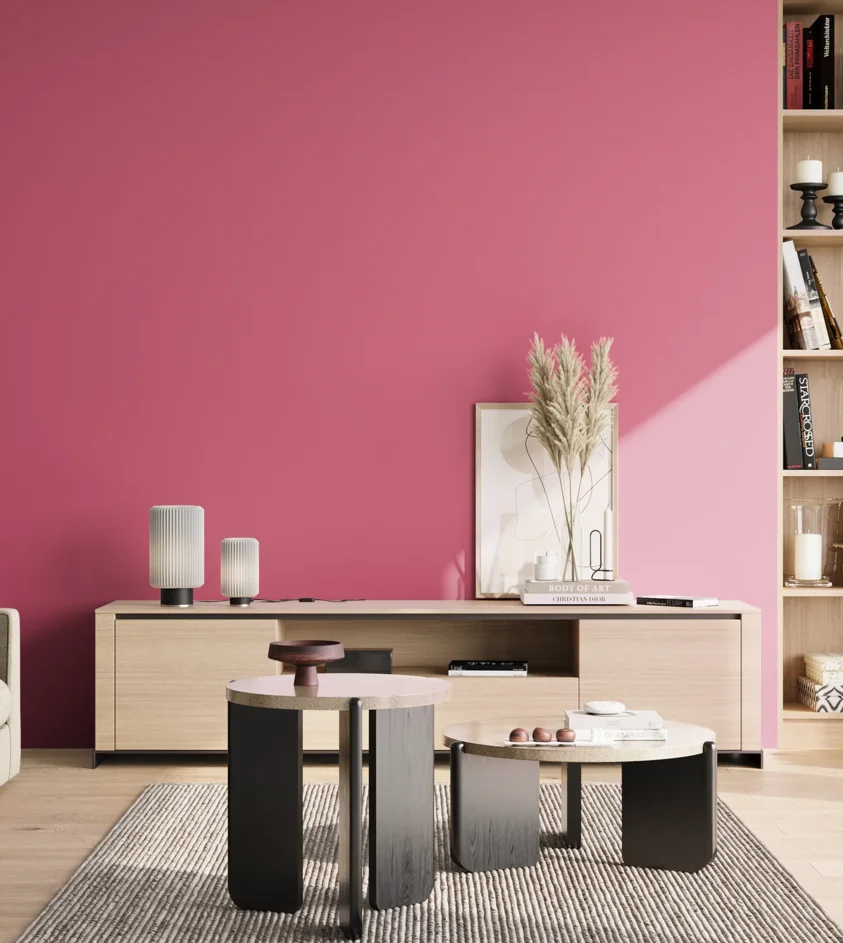 P10_SNIEZKA_salon_02_poludnie_GREY_S1060-R20B