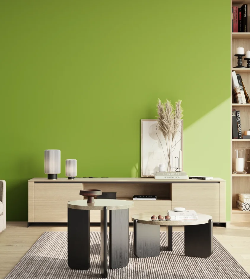 P10_SNIEZKA_salon_02_poludnie_GREY_S1070-G40Y