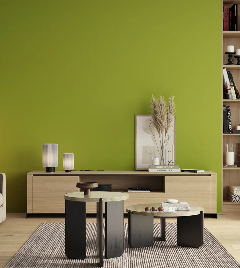 P10_SNIEZKA_salon_00_neutral_GREY_S1070-G50Y