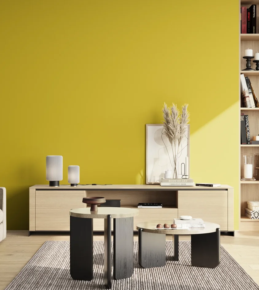 P10_SNIEZKA_salon_02_poludnie_GREY_S1070-G90Y