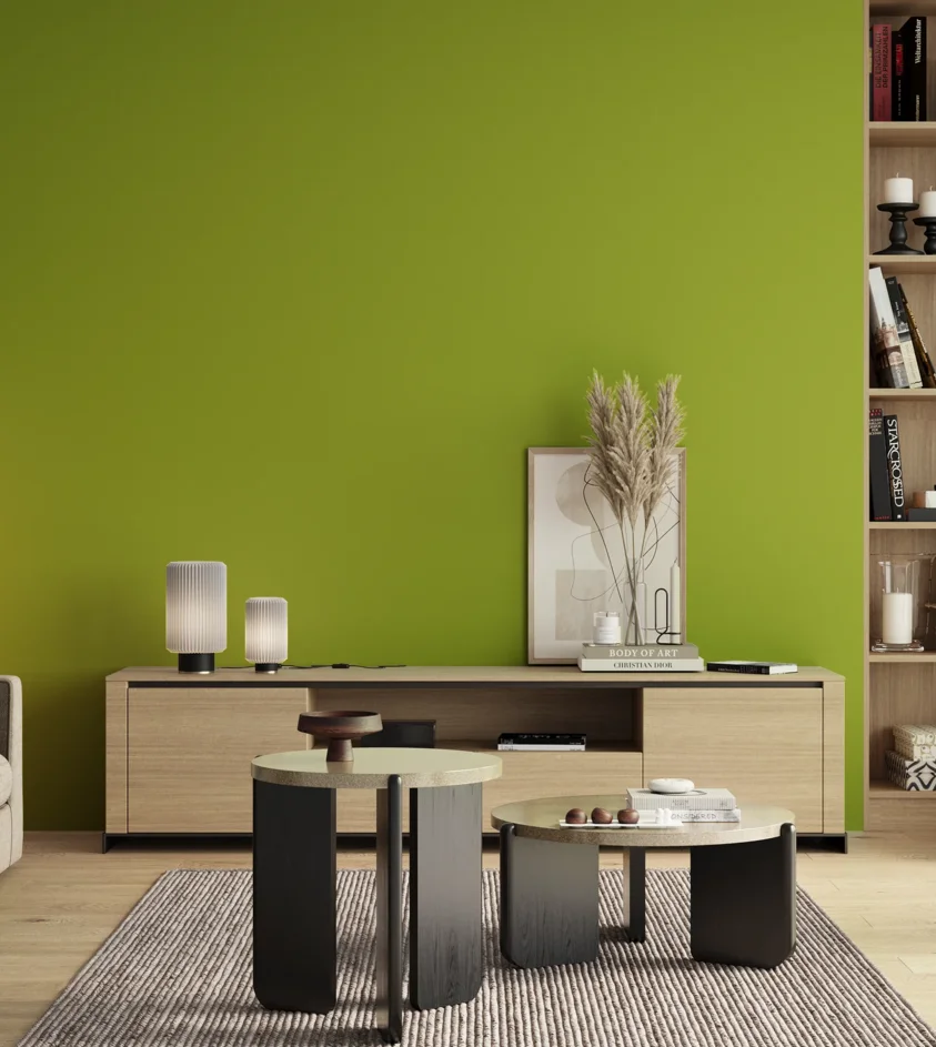 P10_SNIEZKA_salon_00_neutral_GREY_S1075-G50Y