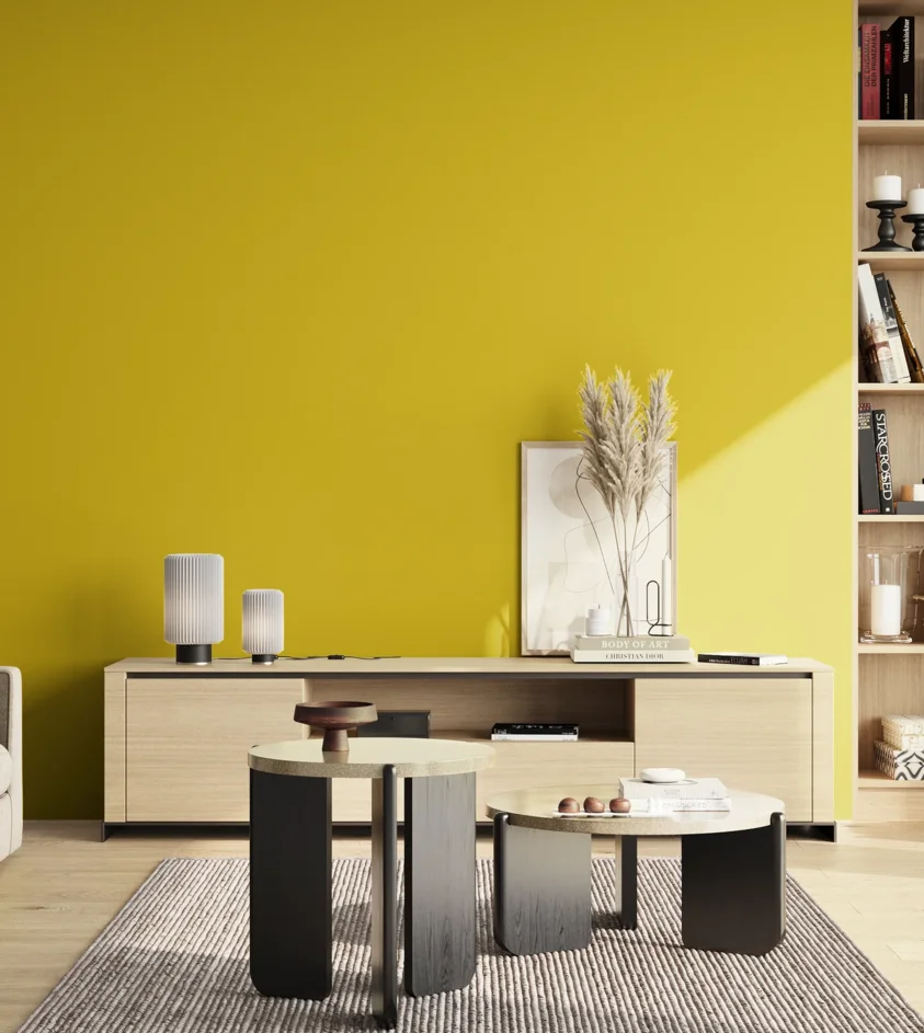 P10_SNIEZKA_salon_02_poludnie_GREY_S1075-G90Y