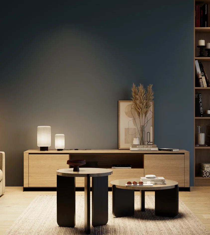 P10_SNIEZKA_salon_04_cieple_GREY_EP09