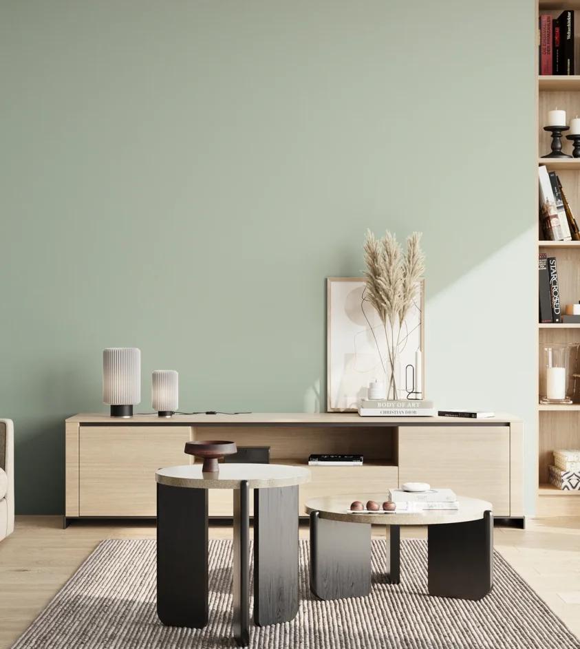 P10_SNIEZKA_salon_02_poludnie_GREY_S1510-G