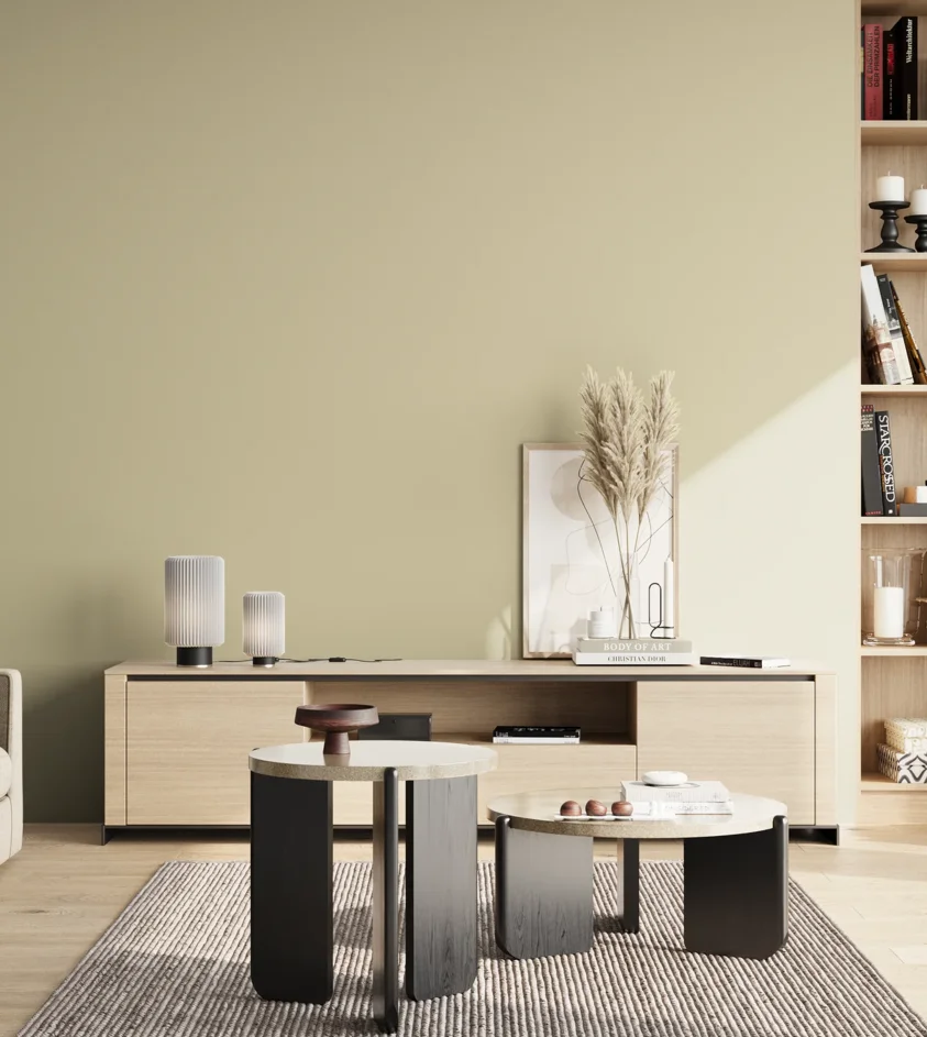 P10_SNIEZKA_salon_02_poludnie_GREY_S1510-G90Y